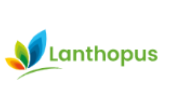 lanthopus