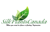 silk plants canada